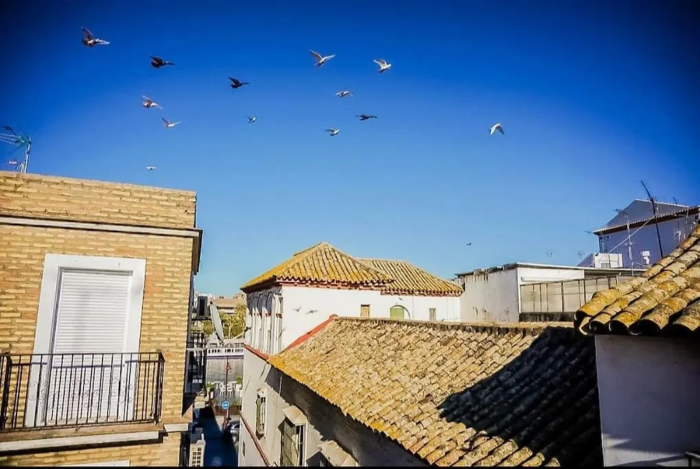 Luminoso Apartamento Centro Triana Apartment Seville 0*,